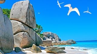 Seychelles  Coco island 4K White sand beach rocks birds snorkeling Сейшелы и остров Коко [upl. by Acirdna]