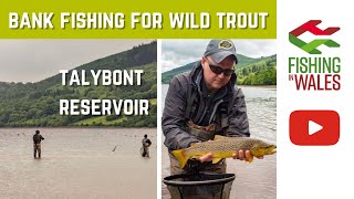 Fishing Talybont Reservoir Wales  How to bank fish for wild trout [upl. by Anoirtac]