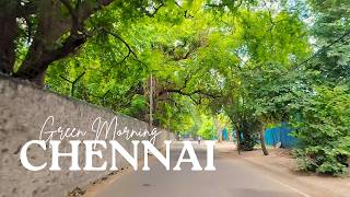 Chennai Green Neighborhood  Besant Nagar 4K [upl. by Neitsirhc]