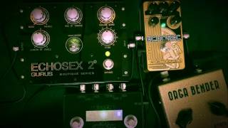 Gurus Amps Echosex 2 amp Catalinbread Echorec with Organic Sounds Orga Bender [upl. by Anirazc]