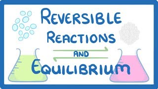 GCSE Chemistry  Reversible Reactions and Equilibrium 49 [upl. by Maris734]