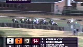 2010 Breeders Cup Turf Sprint [upl. by Amann]