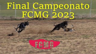 Final del provincial Federación Castilla la Mancha 23 Diciembre 2023 [upl. by Wendye]