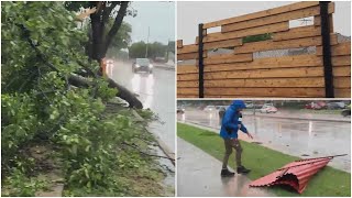 Casas destruidas y árboles caídos así luce Plano tras el paso de fuertes tormentas [upl. by Remington468]