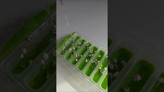 Ice Tray Refill🧊asmr fyp drawer icedrawer fruitwater [upl. by Atinat]