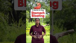 3 Asanas to Stop Stomach Bloating bloating yoga shorts [upl. by Norword]