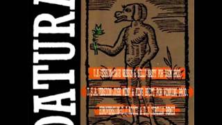 Datura  Yerba Del Diablo Part II Remix Ariki [upl. by Tildi]