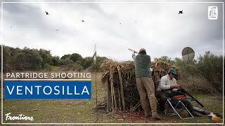 Partridge Shooting at Ventosilla [upl. by Elana]