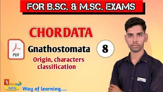 Gnathostomata Origin character and classification  Class8 For Bsc and MSc By Ajay kumar [upl. by Leila]