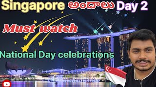 Singapore National Day Celebrations🇸🇬🇸🇬 day2 singapore nationalday fireworks celebration [upl. by Vinia]