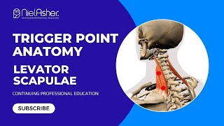 Exploring the Levator Scapulae Understanding Trigger Point Locations for Better Muscle Health [upl. by Areid]