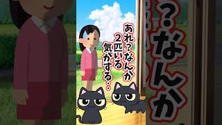 うちの猫は1匹のはずなのに‥2匹いる気がする   【 ほっこり 泣ける話 感動する話 】 2ch 猫 犬 Shorts [upl. by Tera]