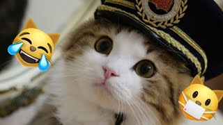 🤣 Videos de Risa de Animales para Ayudarte en esta Pandemia 🐱🐶 Compilación de Animales Divertidos [upl. by Morocco]