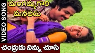 Mangammagari Manavadu  Chandrudu Ninnu Choosi Video Song  BalaKrishna Suhasini [upl. by Bat]