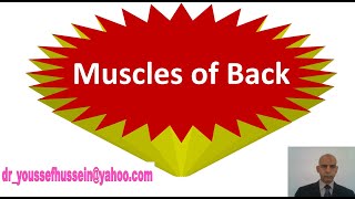 8 Muscles of back [upl. by Anilev285]