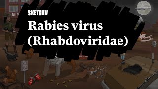 Rabies Virus Rhabdoviridae Pathogenesis and Prevention Part 1  Sketchy Medical  USMLE Step 1 [upl. by Nan264]