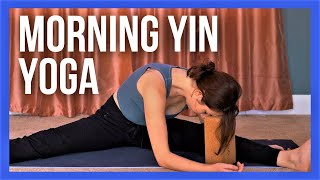 20 min Morning Yin Yoga Full Body Stretch [upl. by Hamnet]