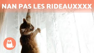 Comment EMPÊCHER mon chat de GRIMPER de PARTOUT 🌳🐈 [upl. by Ias456]