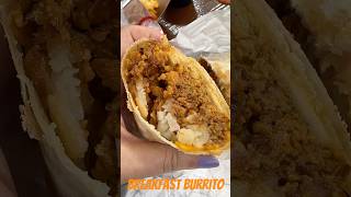 Trying the PlantBased Chorizo Burrito and Breakfast Seasoned Fries at CaliforniaAdventure [upl. by Leber]