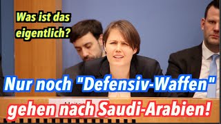 Was sind deutsche quotDefensivWaffenquot [upl. by Enyluqcaj]