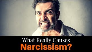 What Really Causes Narcissism [upl. by Erehc]