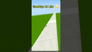 Sarabiyo ki jindagi 😂 minecraft shots viralshorts [upl. by Annaiek620]