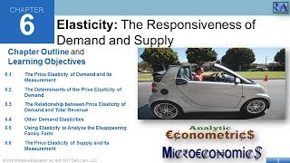 Microeconomics  Chapter 06 Elasticity The Responsiveness of Demand and Supply [upl. by Chafee]