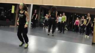 Gente de ZonaEl Animal Zumba [upl. by Oisor933]