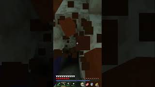 The End 💀 Death unlucky tempel minecrafttempel viral minecraft fliegen fly gaming goviral [upl. by Clynes]