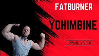 Yohimbine Fatburner und Dauerlatte [upl. by Ennahgiel]