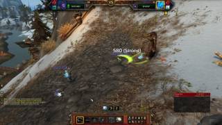 WOW  Pet battles  Training With Bredda Highmountain  Snowfeather Team Rumble [upl. by O'Shee]