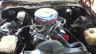 350 Chevy Cold Start Rev and Idle [upl. by Oria353]