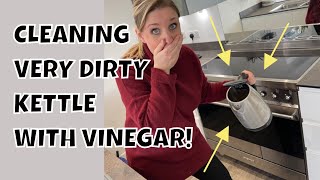 Cleaning your kettle with vinegar  this works Easy way to descale kettle [upl. by Nwahs]