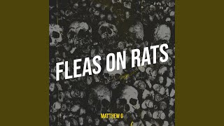 Fleas on Rats [upl. by Baun757]