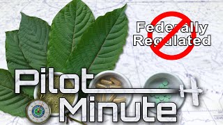 Pilot Minute Why should I be concerned about herbal remedies [upl. by Eca]