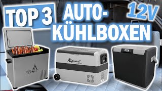 Die besten AUTO KÜHLBOXEN 2024  Top 3 Auto Kühlboxen 12V [upl. by Sucramaj]