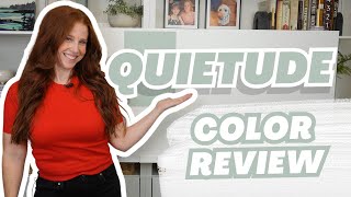 Sherwin Williams Quietude Paint Color Review [upl. by Eydnarb]