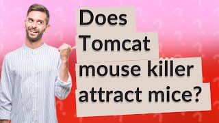 Does Tomcat mouse killer attract mice [upl. by Marita]