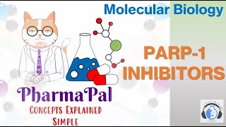 PARP1 Inhibitors ⚕️💊 [upl. by Aniweta]