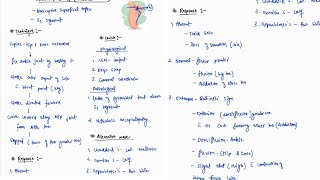 PLANTER REFLEX BABINSKIS SIGN NOTES  ONE PAGE NOTES  CNS  MEDICINE  4TH PROFF  MBBS [upl. by Yelak]