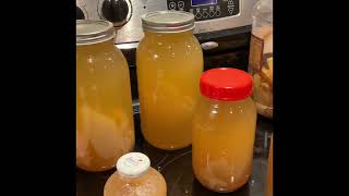 Healthy Delicious Pear Vinegar Made Easy vinegar scoby healthyfood gardening [upl. by Anertal]