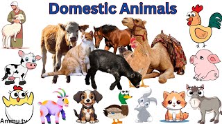 Domestic Animals name with picturesAnimals name Animals picture Animalspreschool education pets [upl. by Learsi250]