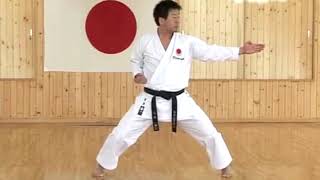 Tekki Shodan  JKA Kata Kurihara Kazuaki [upl. by Nadbus2]