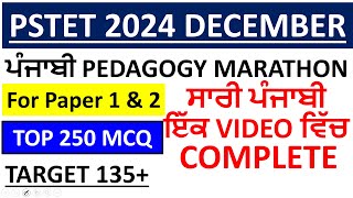 PUNJABI PEDAGOGY MARATHON FOR PSTETCTET 2024 [upl. by Chaille]