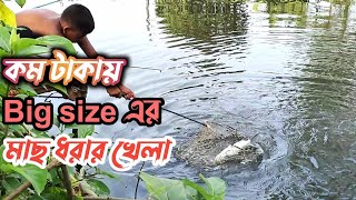 কাতলা মাছ ধরা দেখা ✅ সাথে অন্যান্য মাছগুলো ধরলাম ✅ katla fish hunting ✅ 2024 [upl. by Menell]