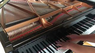 Tom Rosenthal  Go Solo Honig im Kopf Soundtrack Piano Cover [upl. by Renckens971]