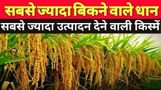 top paddy varieties  Arize 6444 gold dhan  6444 dhan price 2022  arize 6444 variety yield [upl. by Ekaj]