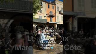 Valbonne village l’un des plus beaux Marchés de la Côte d’Azur 💙 travel cotedazurfrance [upl. by Oirramaj]