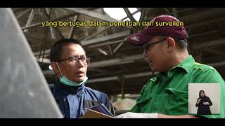 Video Profil Tahun 2024 Ramah Disabilitas [upl. by Nailij]