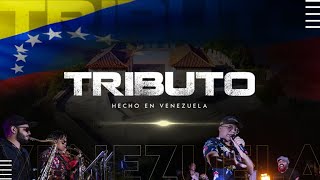 TRIBUTO EDDY HERRERA tributo venezuela merengue republicadominicana cover eddyherrera rumba [upl. by Alihs]